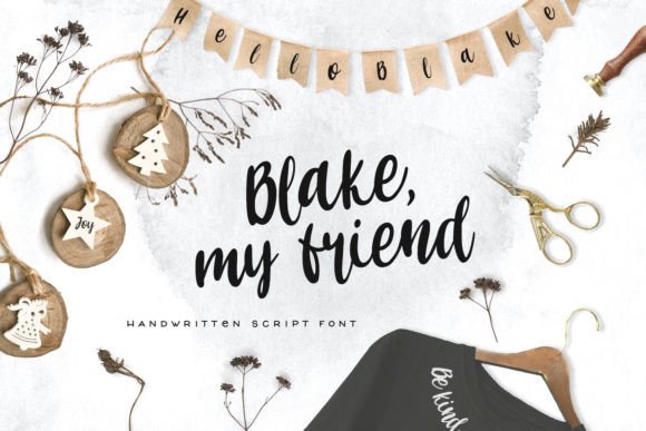 Blake My Friend: A Designer's Honest Review