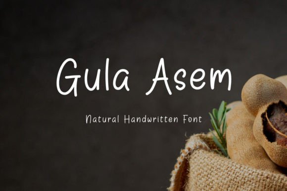 Gula Asem: The Handwritten Typeface for Modern Web Design