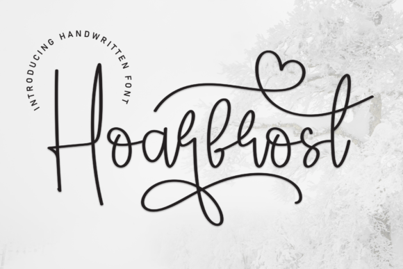 Hoarfrost: A Sweet Script Font for Modern Web Design